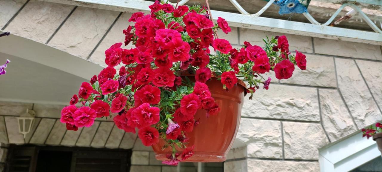 Apartments 1000 Flowers Stari Grad  Exterior foto